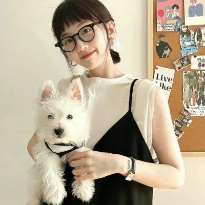 四海鲸骑第二季