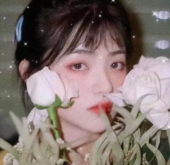 神秘女王蜂